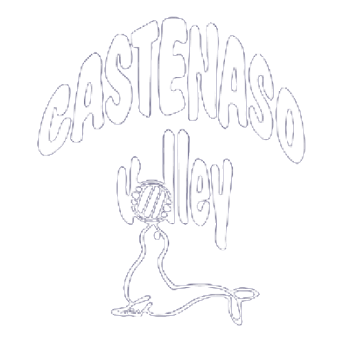 Logo del Castenaso Volley, squadra sponsorizzata da Autoservice Ribani
